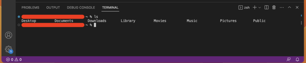 VS Code Terminal ls